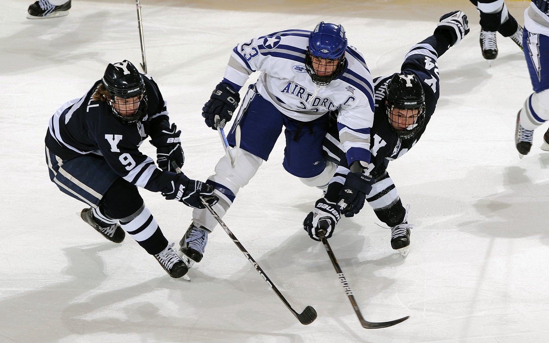 熊猫直播tv-鹈鹕展翅封锁芝加哥，福克斯加冕硬仗之王